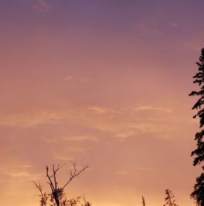 Meet your Posher, Craig